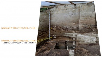 Figure 3. Khotylevo 1, trench 6-2, eastern profile. Numerals inscribed in small and large circles mark lithological layers and cultural horizons, respectively. Orange dots show the original position of charcoal and humic samples used in <sup>14</sup>C dating.