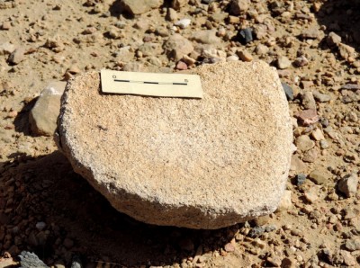 Figure 7. SRN-1: fragment of lower quern on the site’s surface (photograph by R. Nisbet).