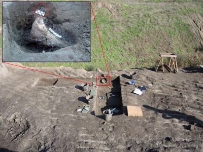 Figure 5. Excavation area B, showing the elephant tibia fragment </em>in situ</em>. The red circle marks the position of a radiolarite flake.