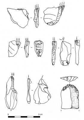 Figure 5. A variety of burins and (bottom right) an endscraper from the sediments of Baradostian age (illustration by T. Reynolds).