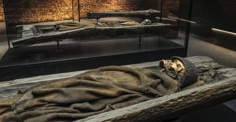 Figure 4. The log coffins of the Borum Eshøj grave (photograph by JaCob Due, Photo/Media Department, Moesgaard).